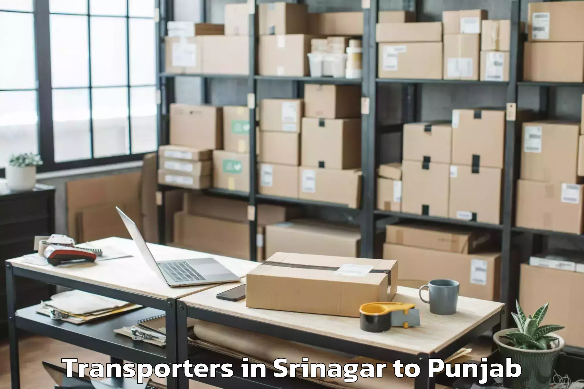 Reliable Srinagar to Phillaur Transporters